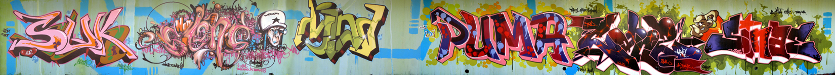 2007 SUKBomberMindPumaCan2Sinae IN