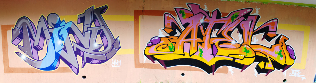 2010 07 30 Mind Atel